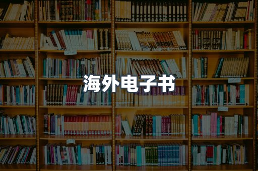 海外电子书